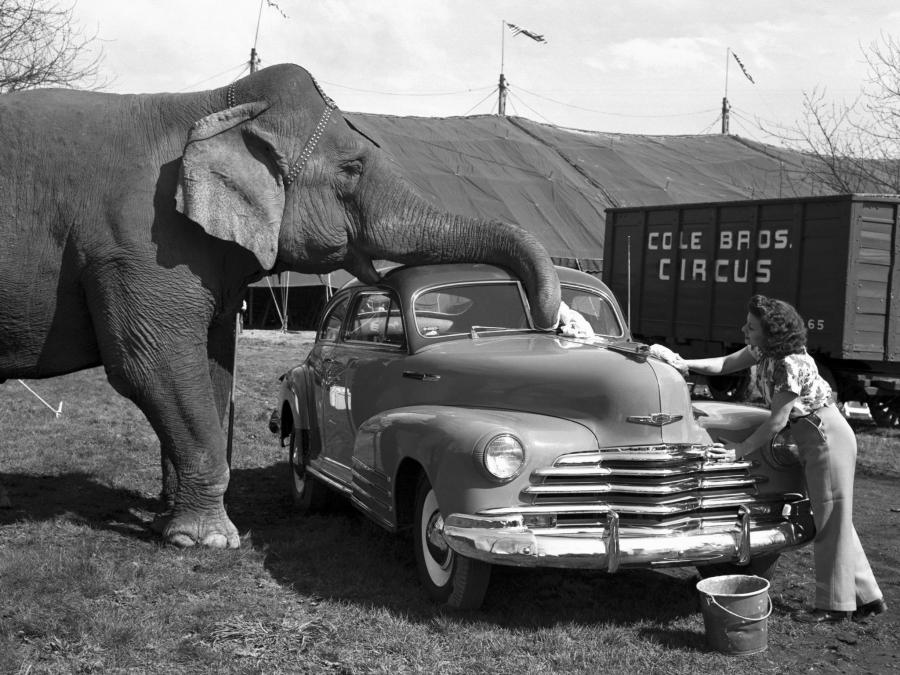  Chevrolet Fleetline Aerosedan 1947 года  (фото 1 из 1)